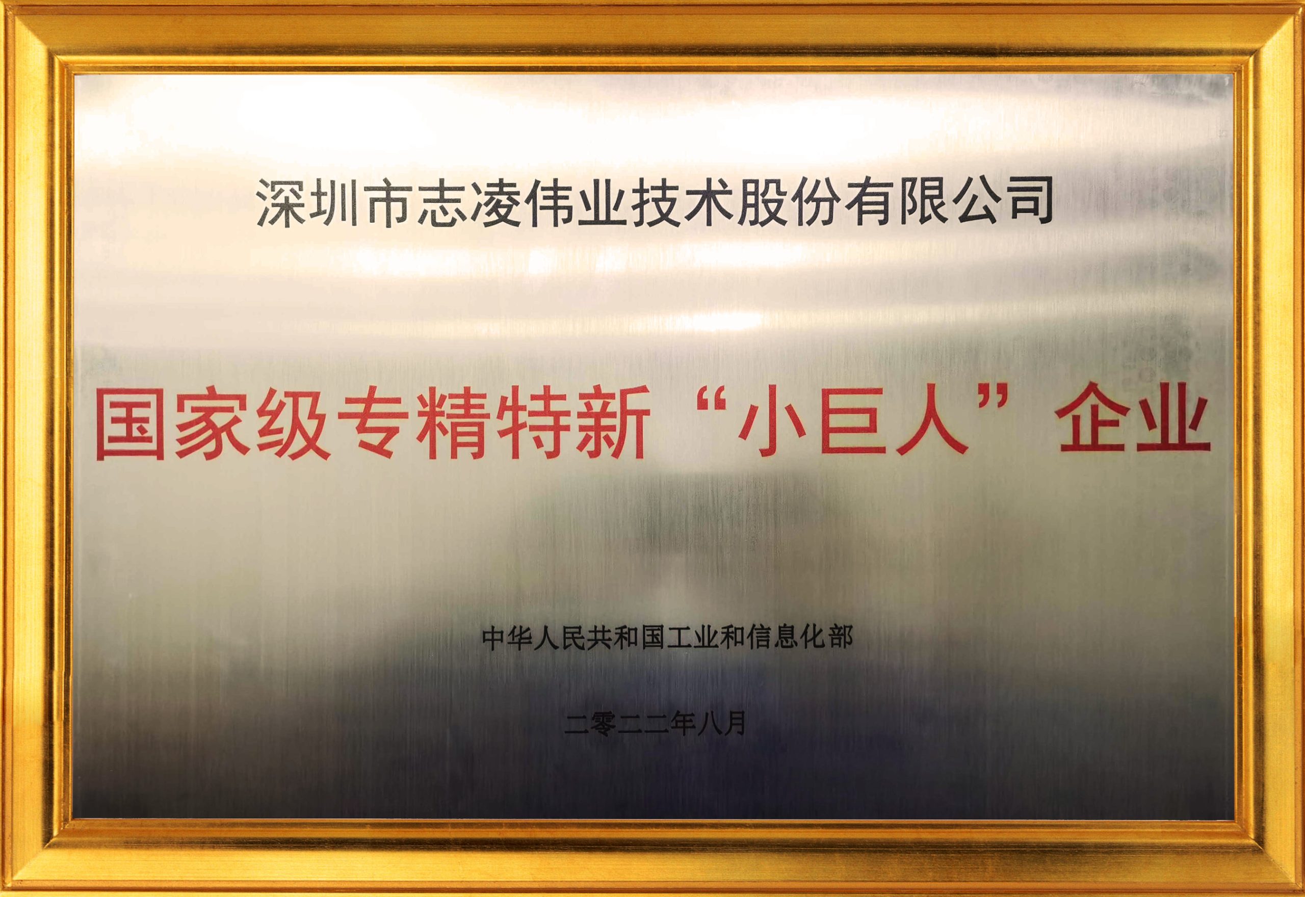 國家級專精特新“小巨人”企業